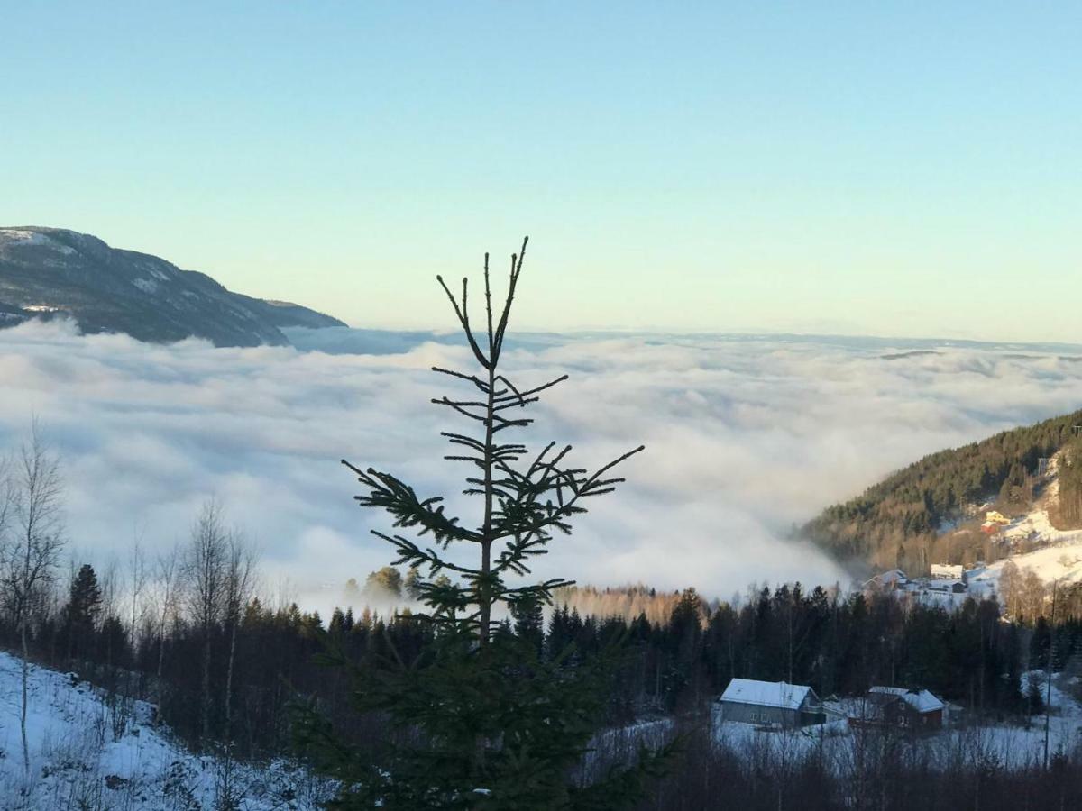 Luxury Mountain Villa Strandlykkja Eksteriør bilde